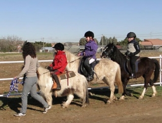 Ponis para los peques